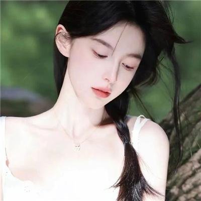 一条狗的使命